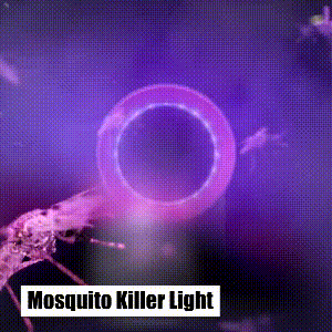 EcoSafe UV Mosquito Trap – No Zap, No Spray